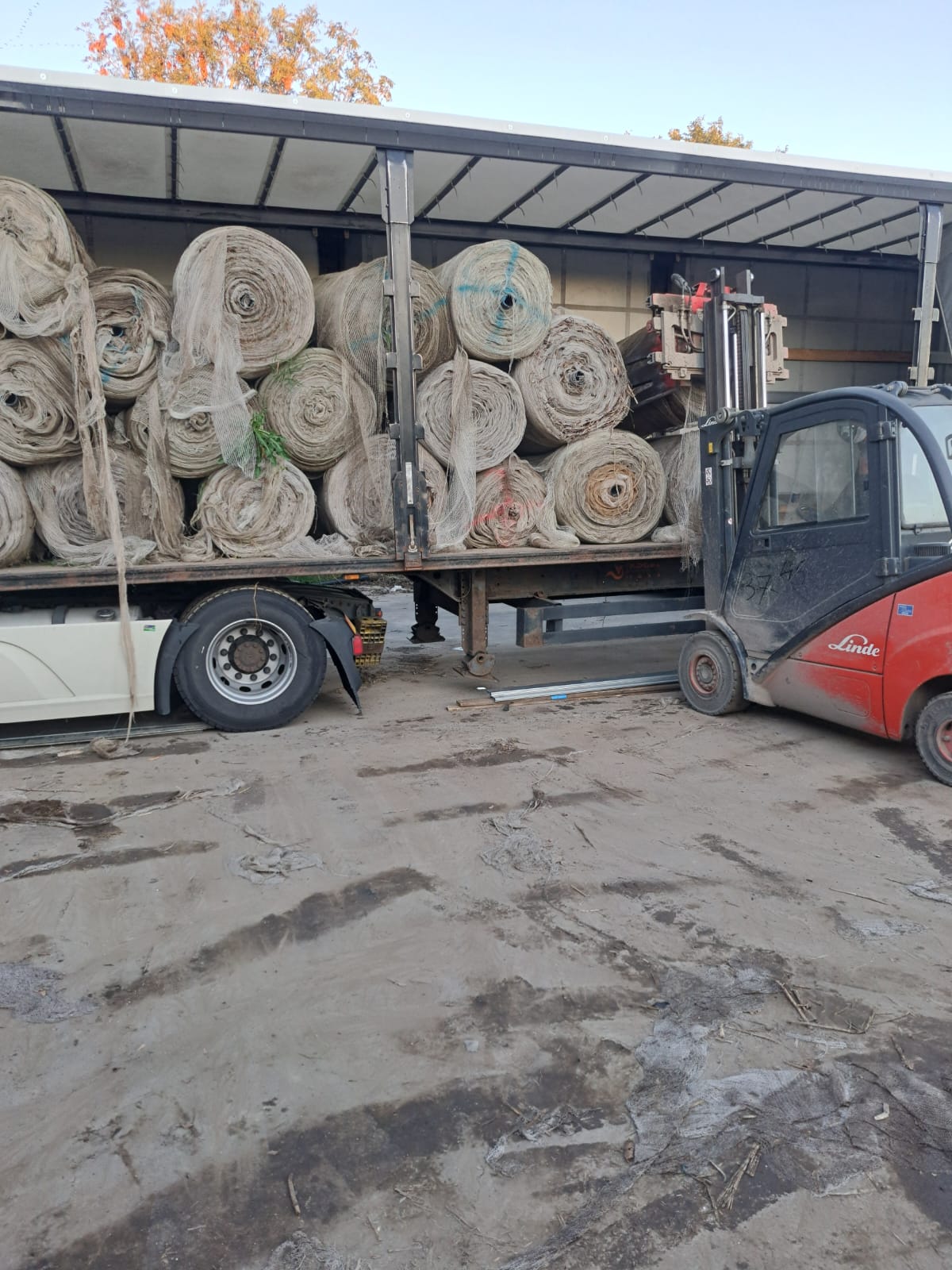 Мініатюра 13